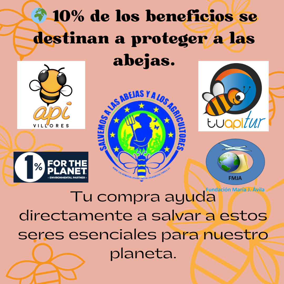 OFERTA 1+1 Pendientes de Abeja Plata S925