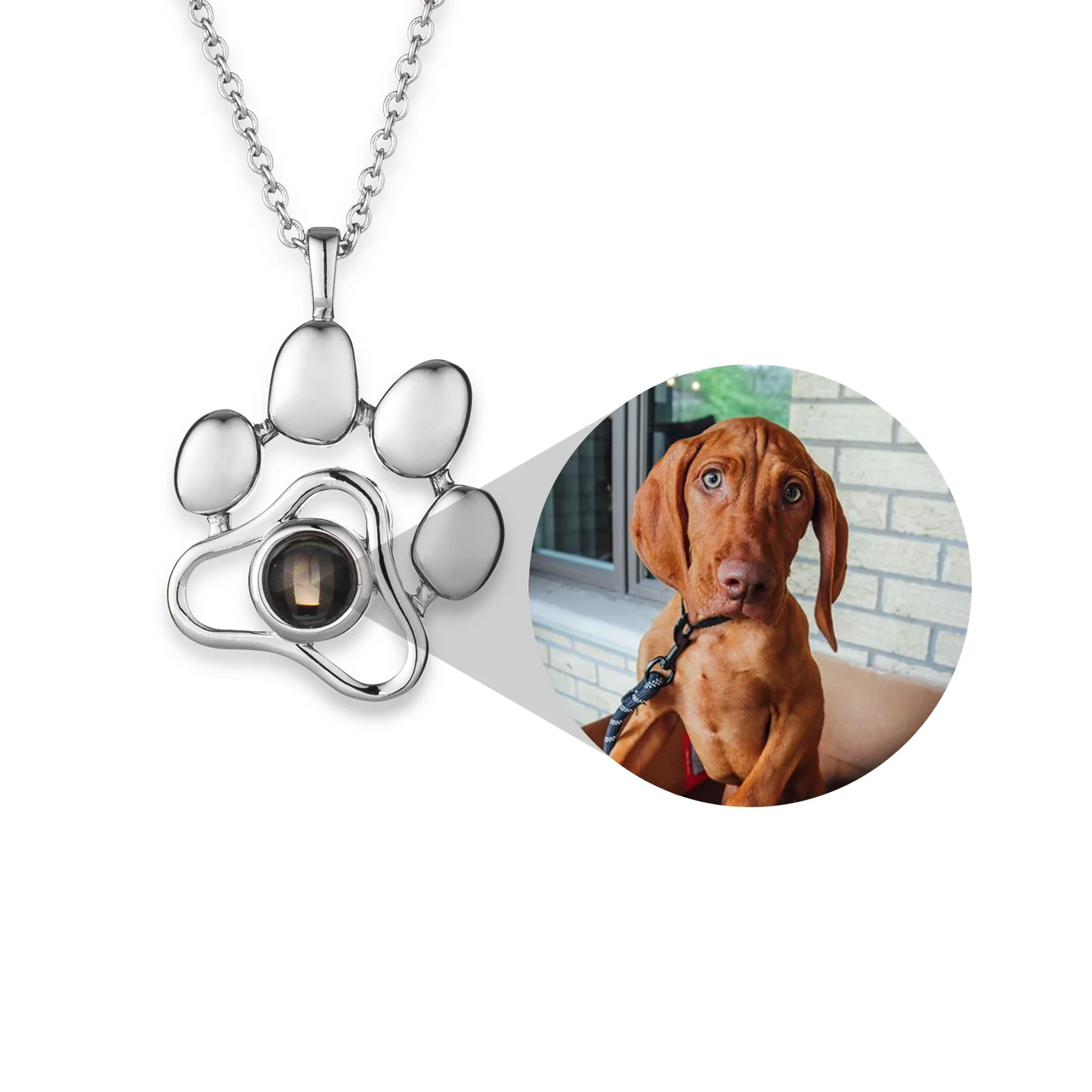 Tu Mascota, Tu Amuleto Collar con Foto Personalizada
