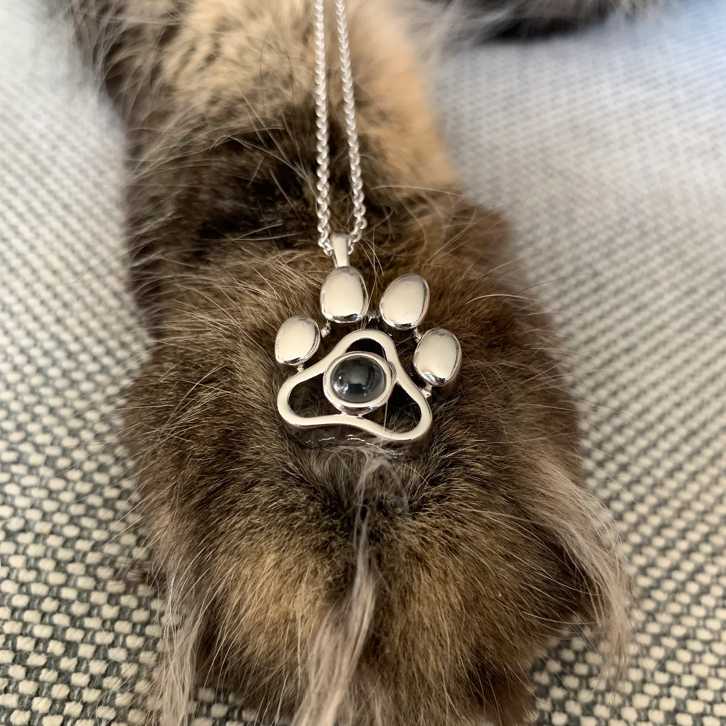 Tu Mascota, Tu Amuleto Collar con Foto Personalizada
