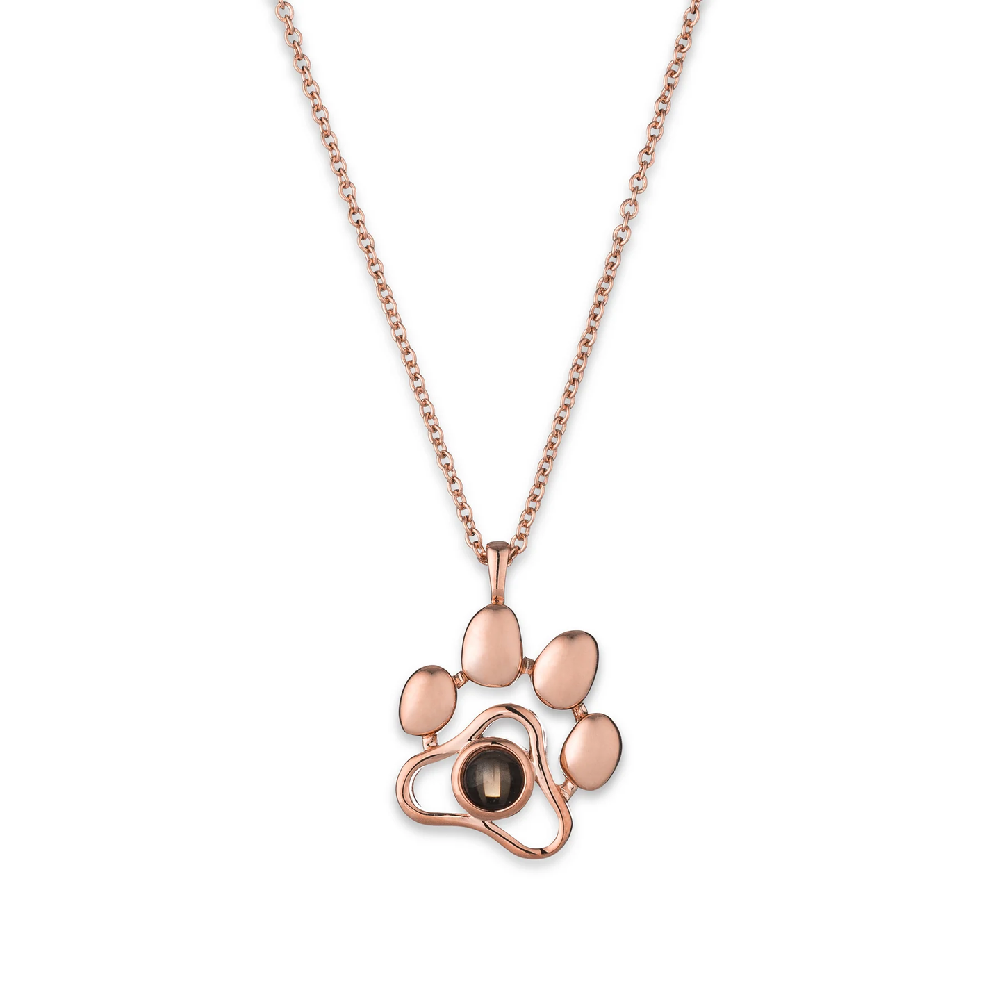 Tu Mascota, Tu Amuleto Collar con Foto Personalizada