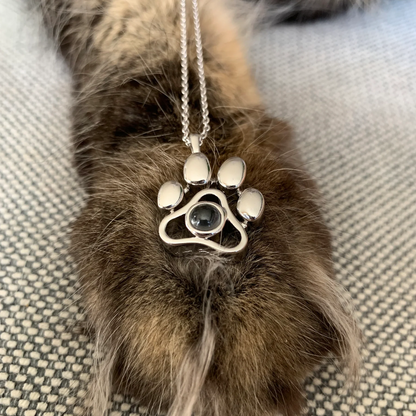 Tu Mascota, Tu Amuleto  Collar con Foto Personalizada